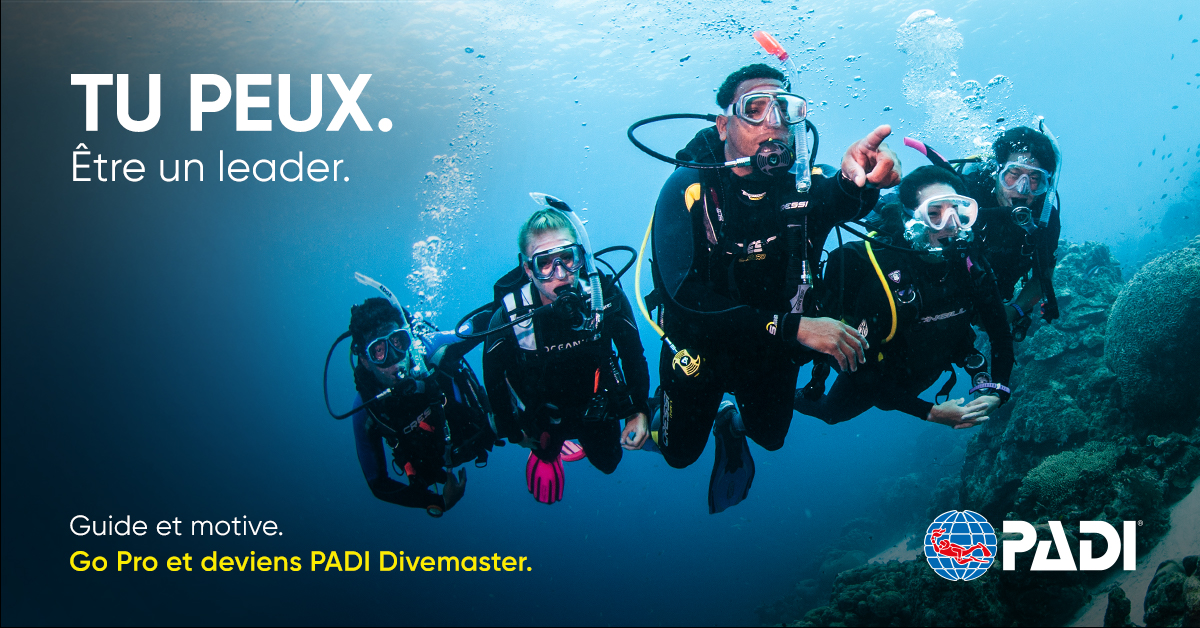 DIVEMASTER_DIVE_LEADER_PADI_NORMANDIE_FORMATION_GRANVILLE_PADI-3
