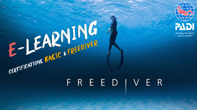 freediver_-apnee_Granville_Normandie_centre_plongee_PADI_fosse_elearning-655x368