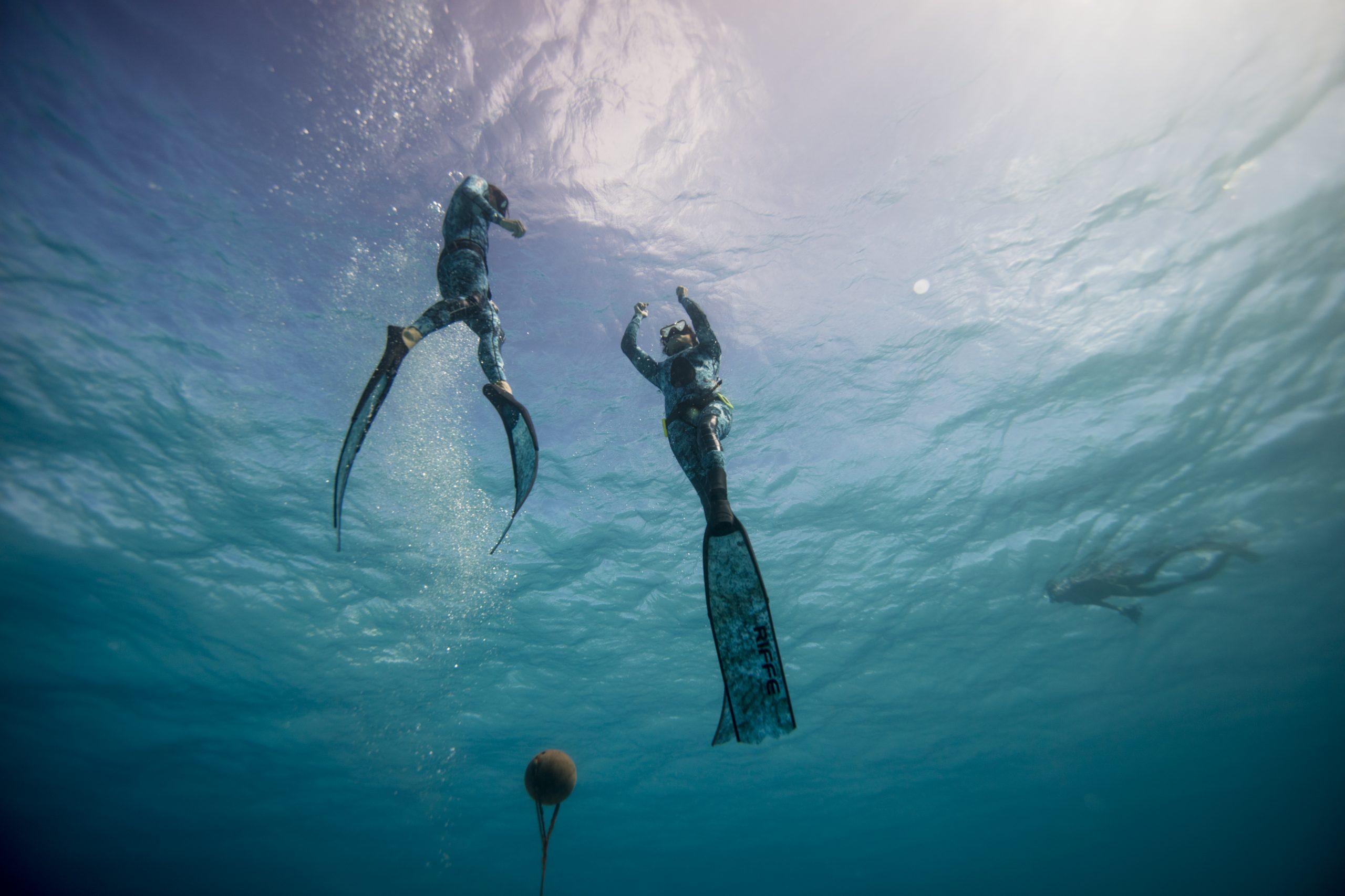 PADI_Bimini_Jan_2017_3930